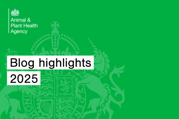Green background with white text, "Blog highlights 2025". The APHA logo also shows.