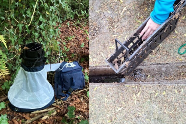 Split image of a white netting cone placed at the edge of a woodland. The other image is of a black rectangular plastic container next to a shallow gulley.