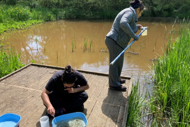 Two individuals on a pontoon near a body of water. One is holding a container on a long stick and is looking into it. The other is sitting down looking into a tray of water.