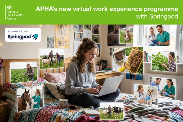 APHA promotes its Springpod virtual work experience programme, showing a student using a laptop amid photos of animal care, farming and veterinary work.