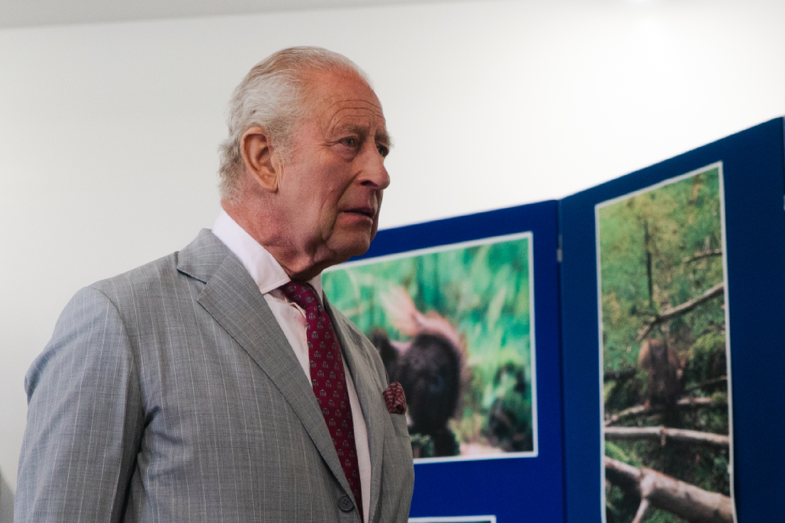 His Majesty The King, in a gray suit and burgundy tie stands before blue display panels with wildlife photos, looking serious and contemplative.